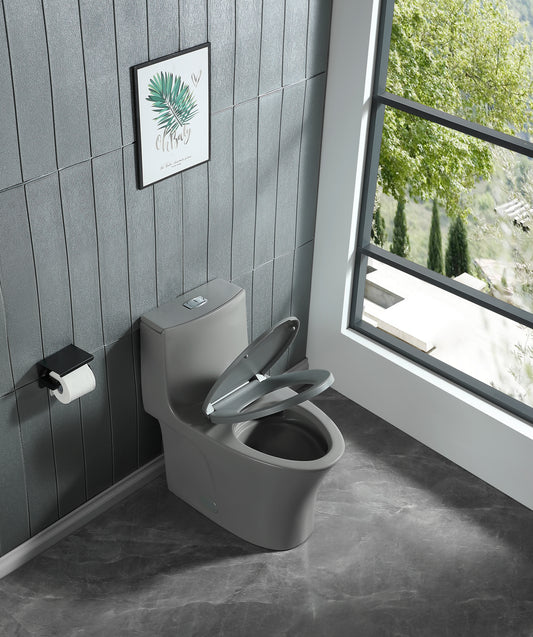 1.1/1.60 GPF Dual-Flush One Piece Toilet, Water-Saving Elongated Comfort Height Floor Mounted, Soft Closing Seat, 1000 Gram Map Flushing Score